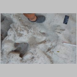 DSCN0448 Baby shallow deep set.jpg